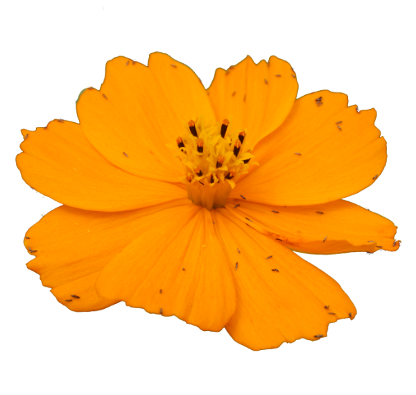 user8 demoserver.at ;-)